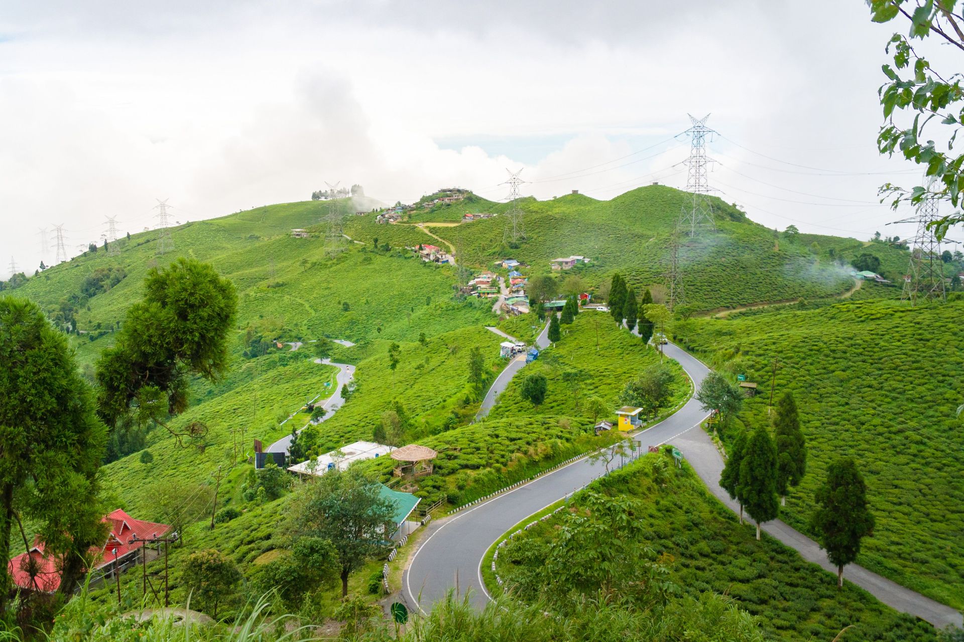 Darjeeling Himalayan Railway & Misty Tea Slopes