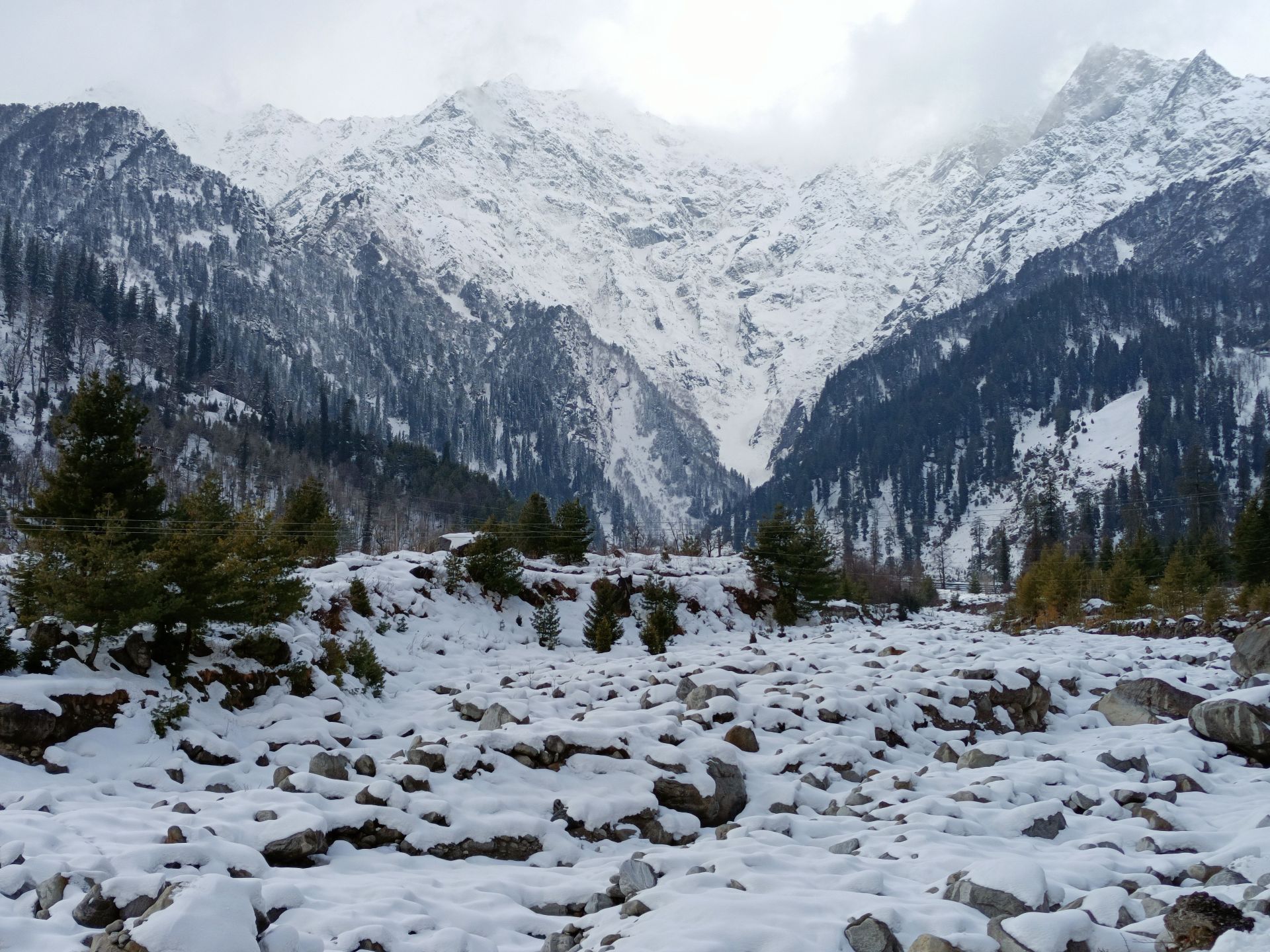 Manali & Shimla Snow Peaks & Pine Valleys